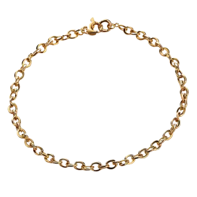Barely There Anklet